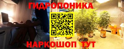 Альфа ПВП Жуковский
