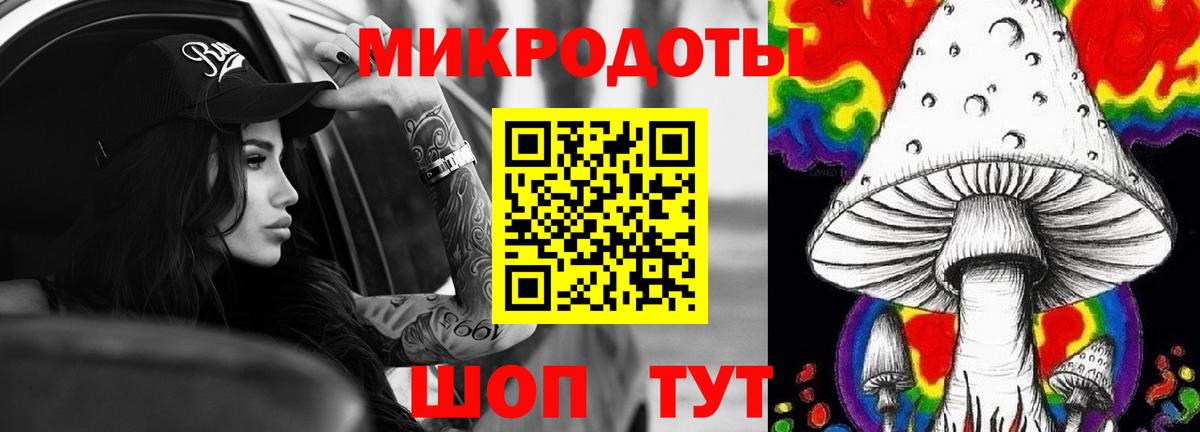 Псилоцибиновые грибы Psilocybe  Вход с VPN  Михайловск 